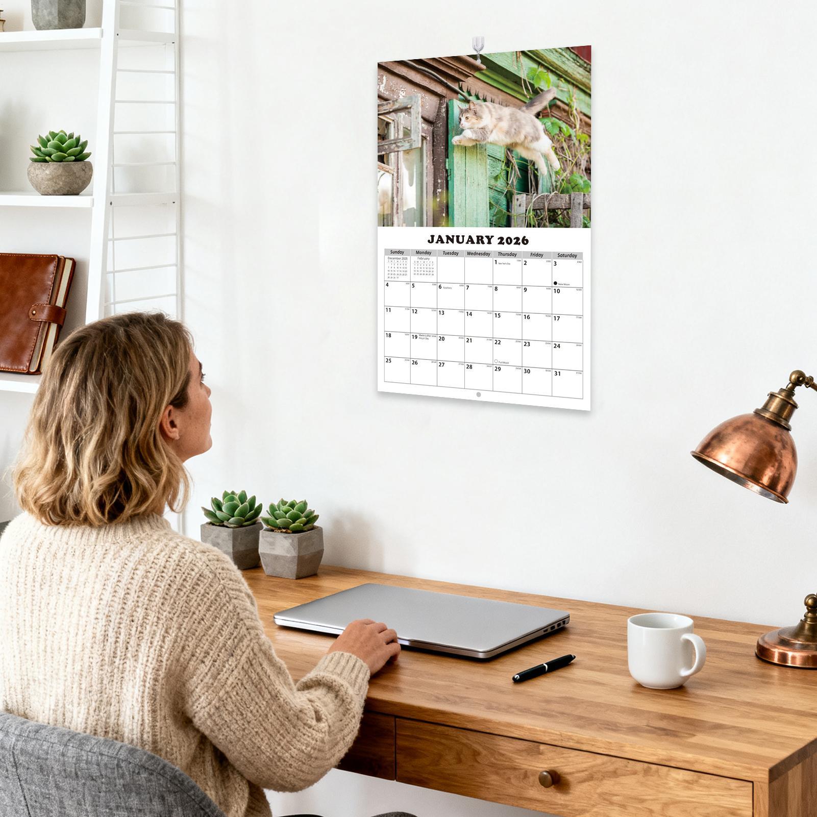 2026 القط الإنجليزية جدار التق - مراجعة English Home Office وسعره